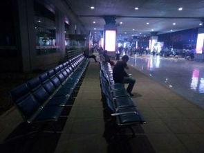 优化出行体验 升级服务品质——乌机场分公司消防护卫部全面实施停车场改造工程